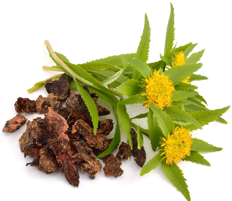 rhodiola 1