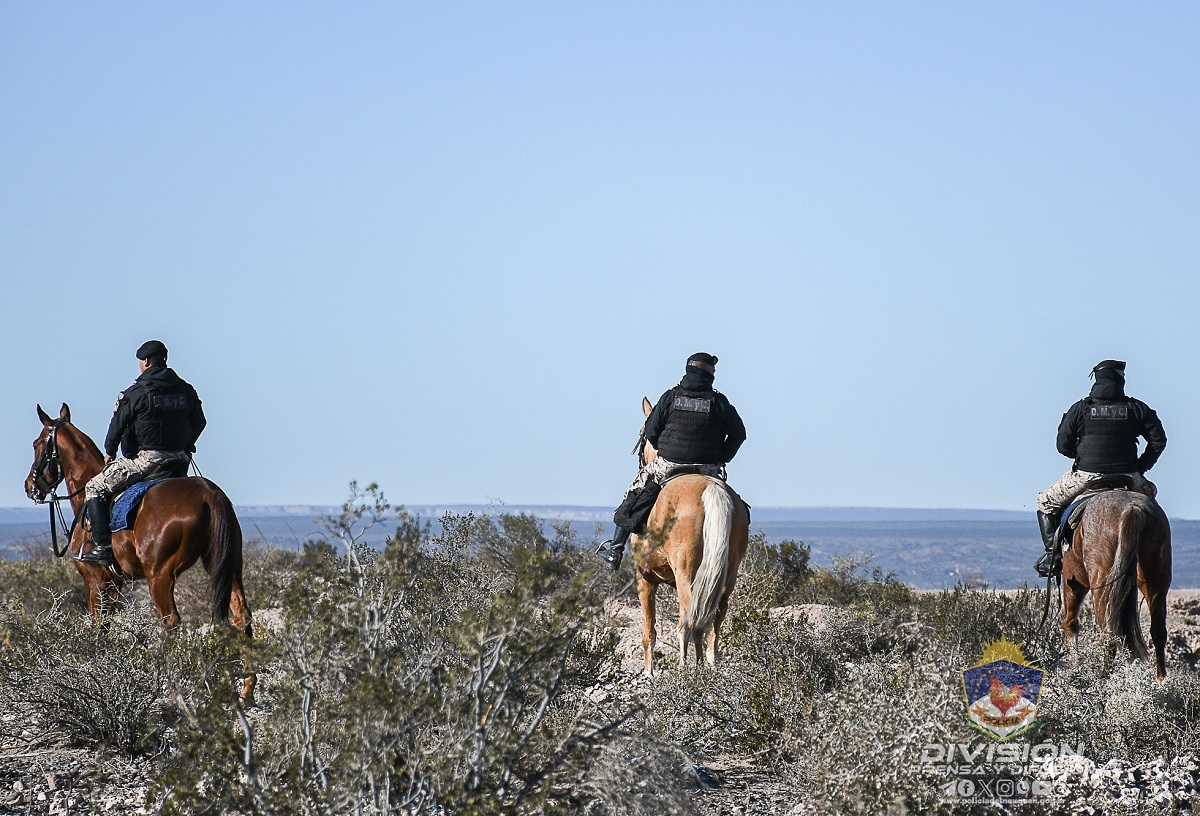 busqueda a caballo