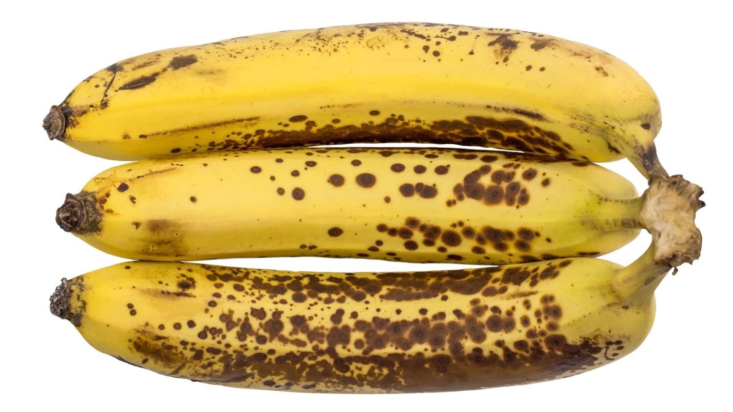 bananas-4-jpg.
