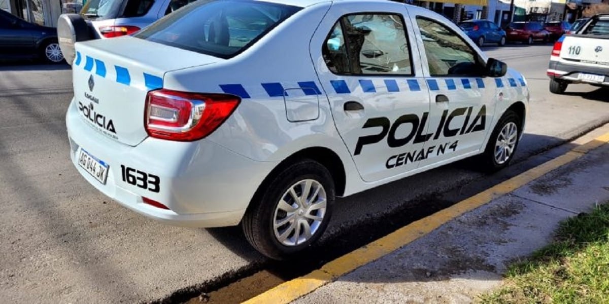 movil de cenaf 4