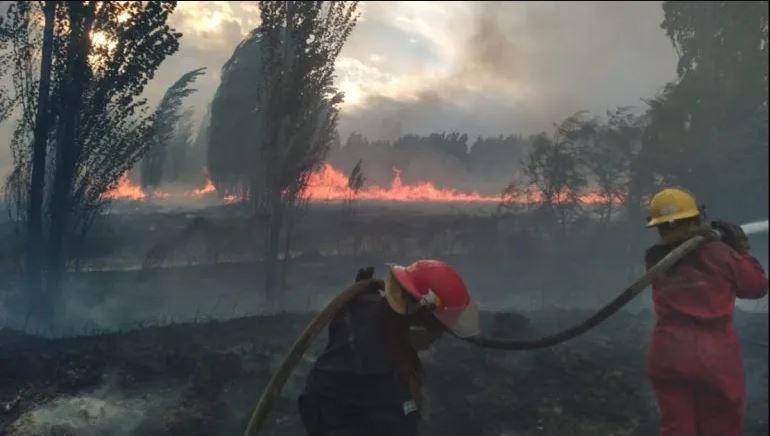 bomberos face