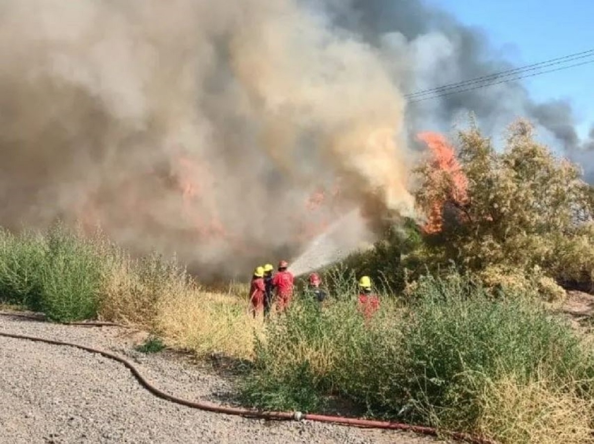 bomberos noticias nqn