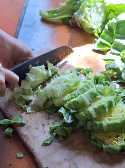 lechuga