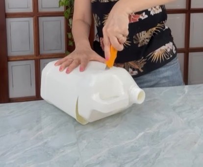 b1