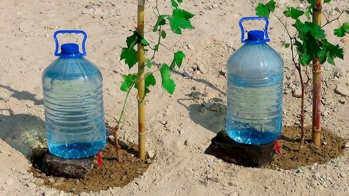 botella