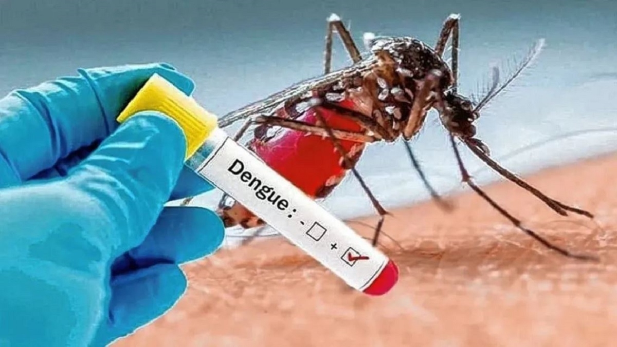 dengue face