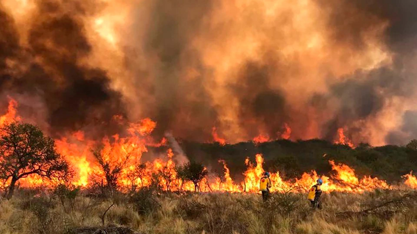 incendio-cordoba
