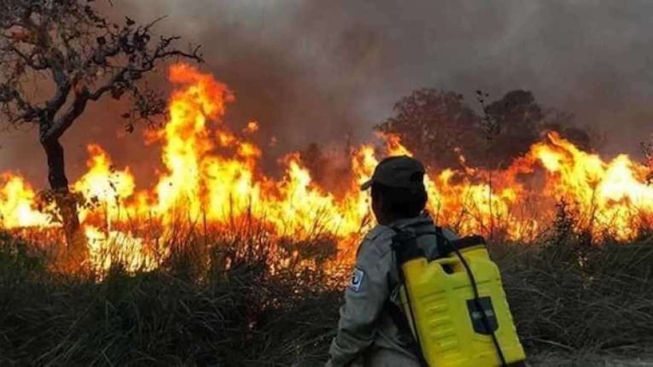 incendios bolivia