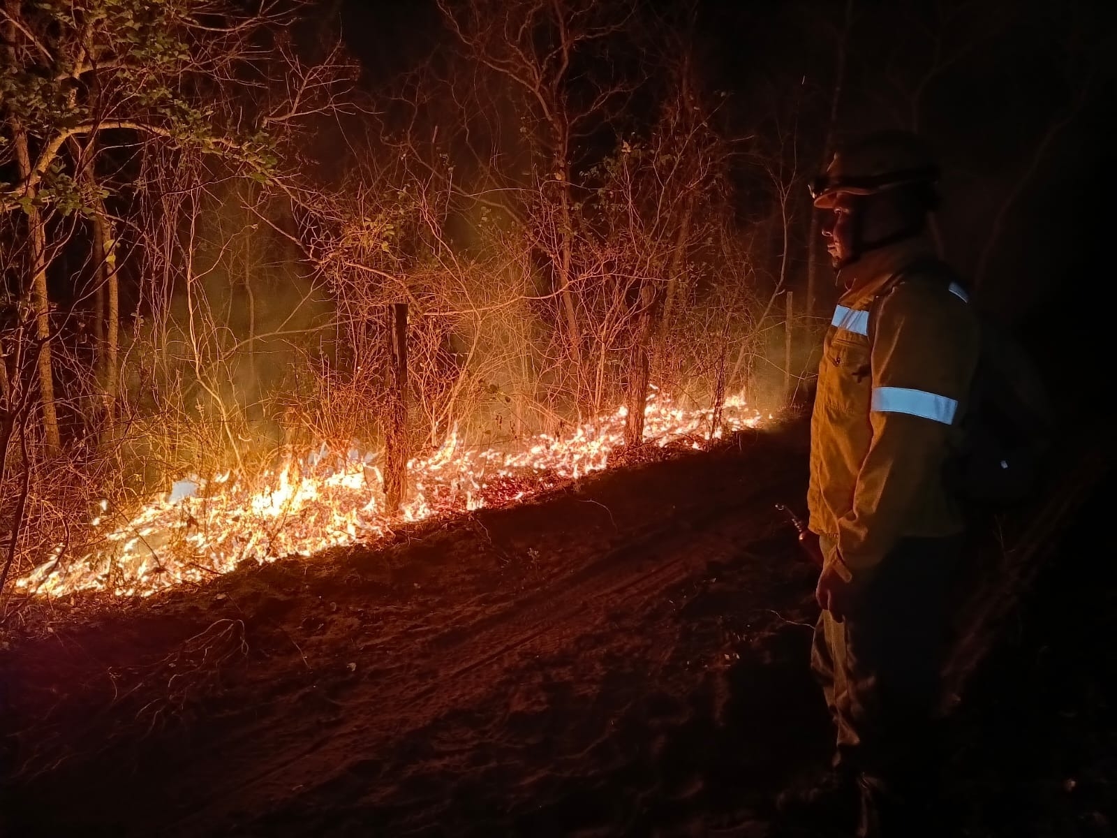 incendios forestales
