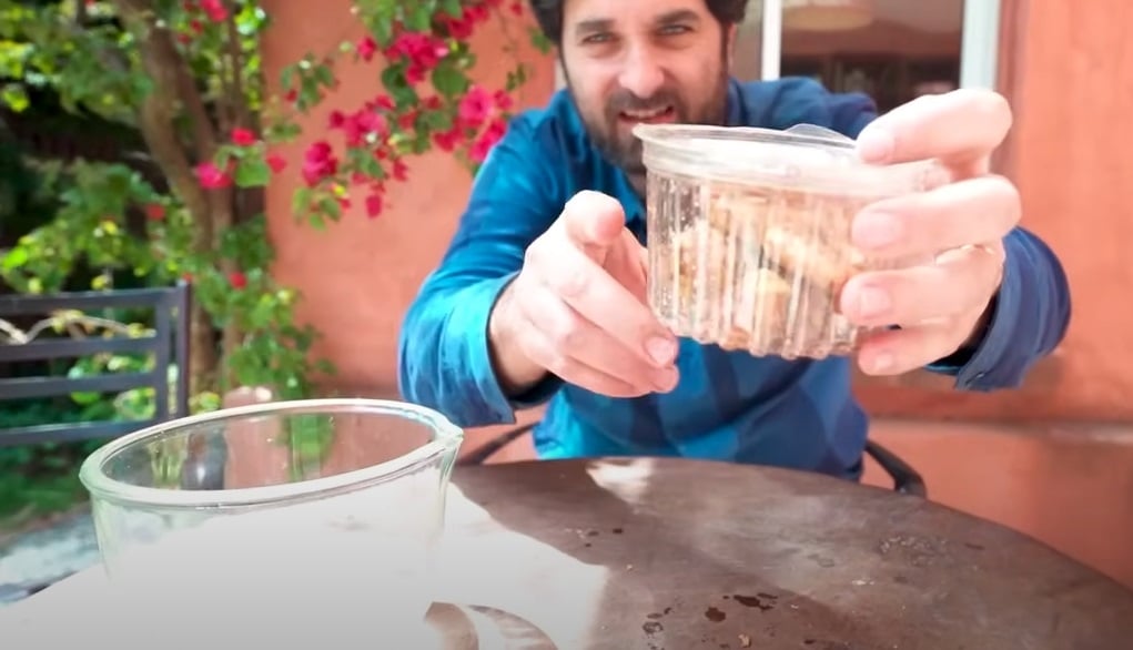 Cúrcuma 2