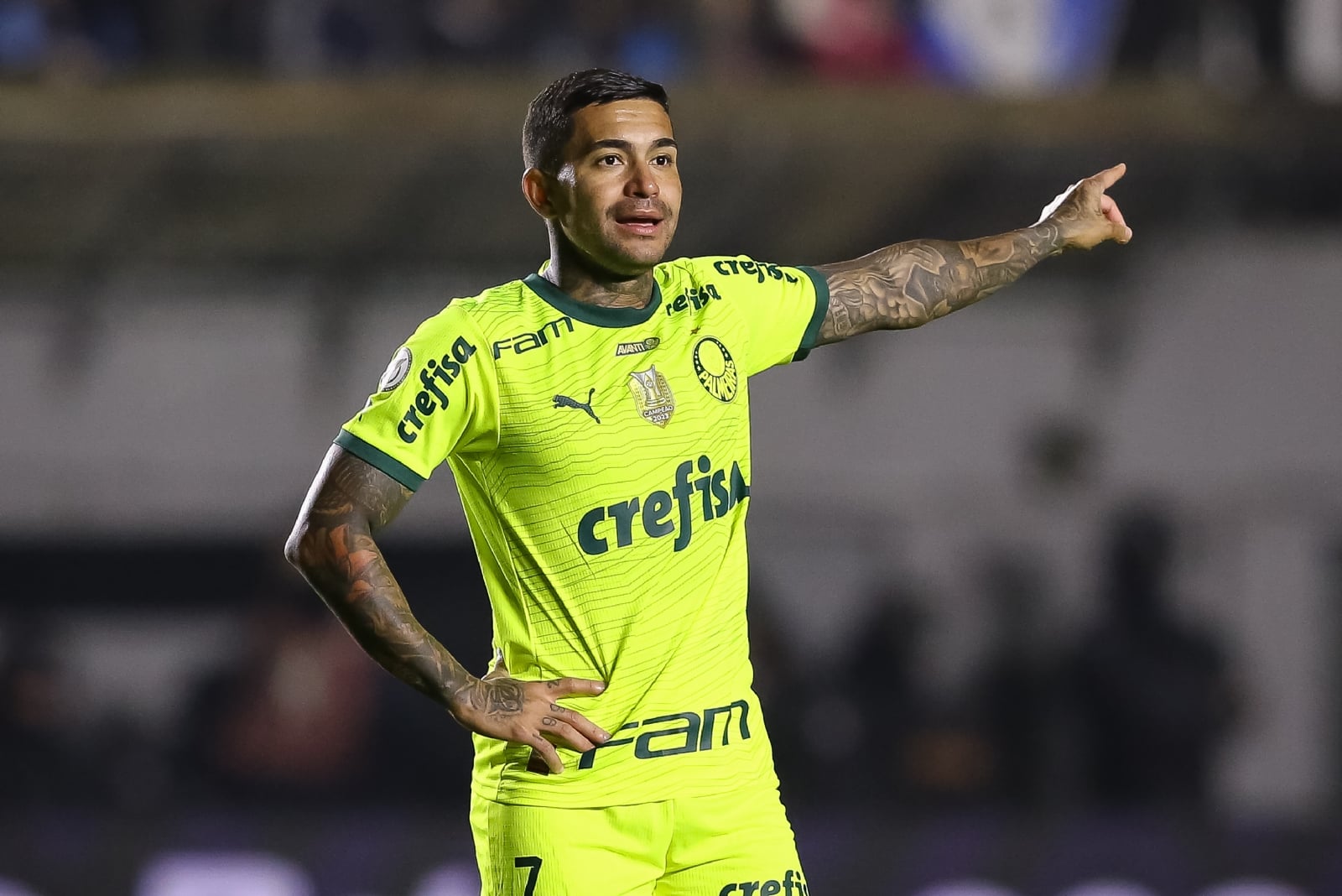 gremio-v-palmeiras-brasileirao-2024