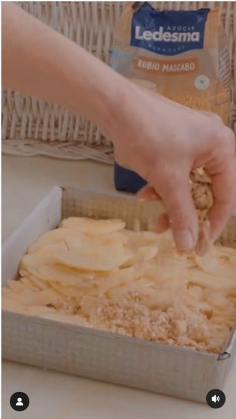 Cuadrados de avena y manzana 7