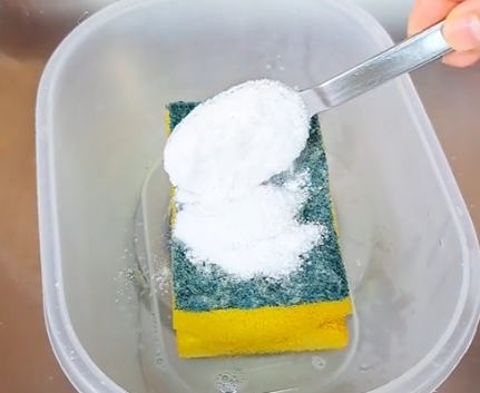 esponjas3