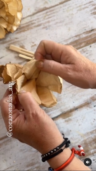 Papel de cocina 5