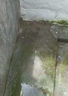 Pisos de cemento3