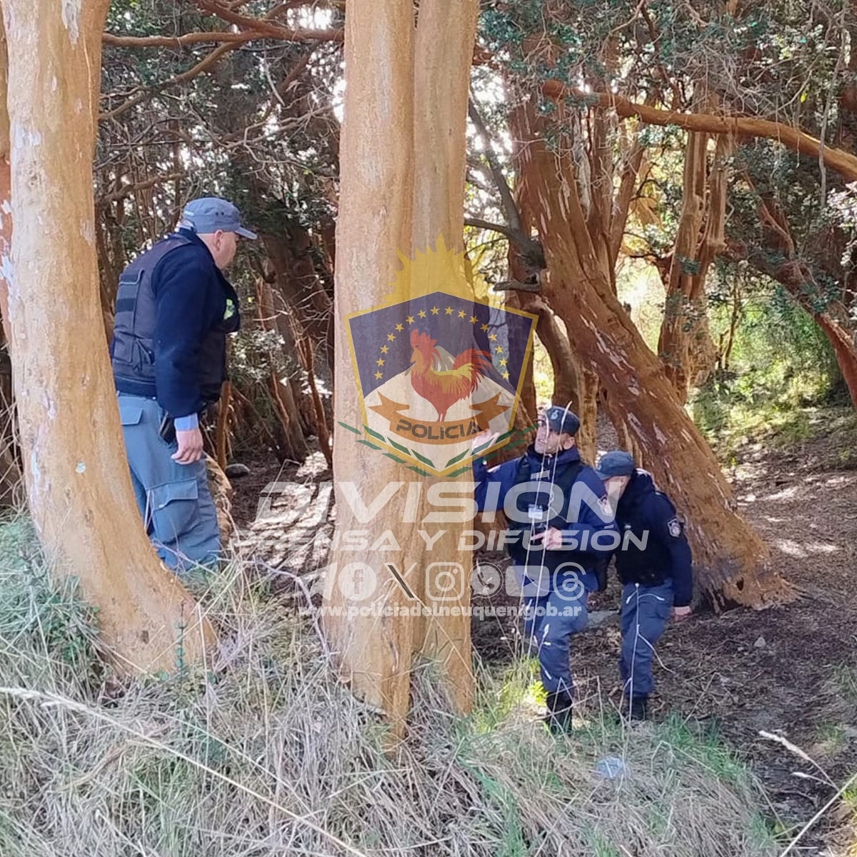 detenidos villa la angostura 1