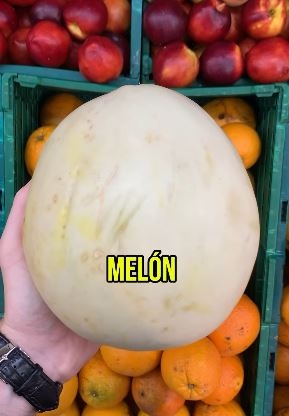melon755