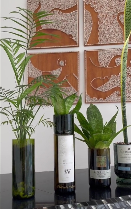 botellas de vino 5
