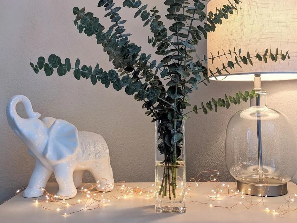 elefante ritual 1