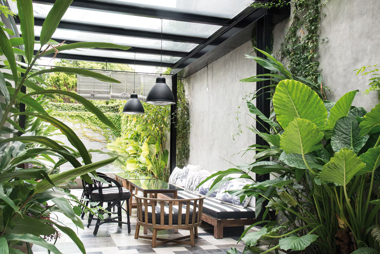 plantas xl