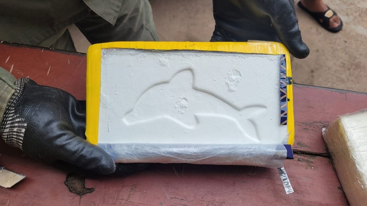 cocaina delfin