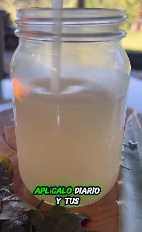 gel333