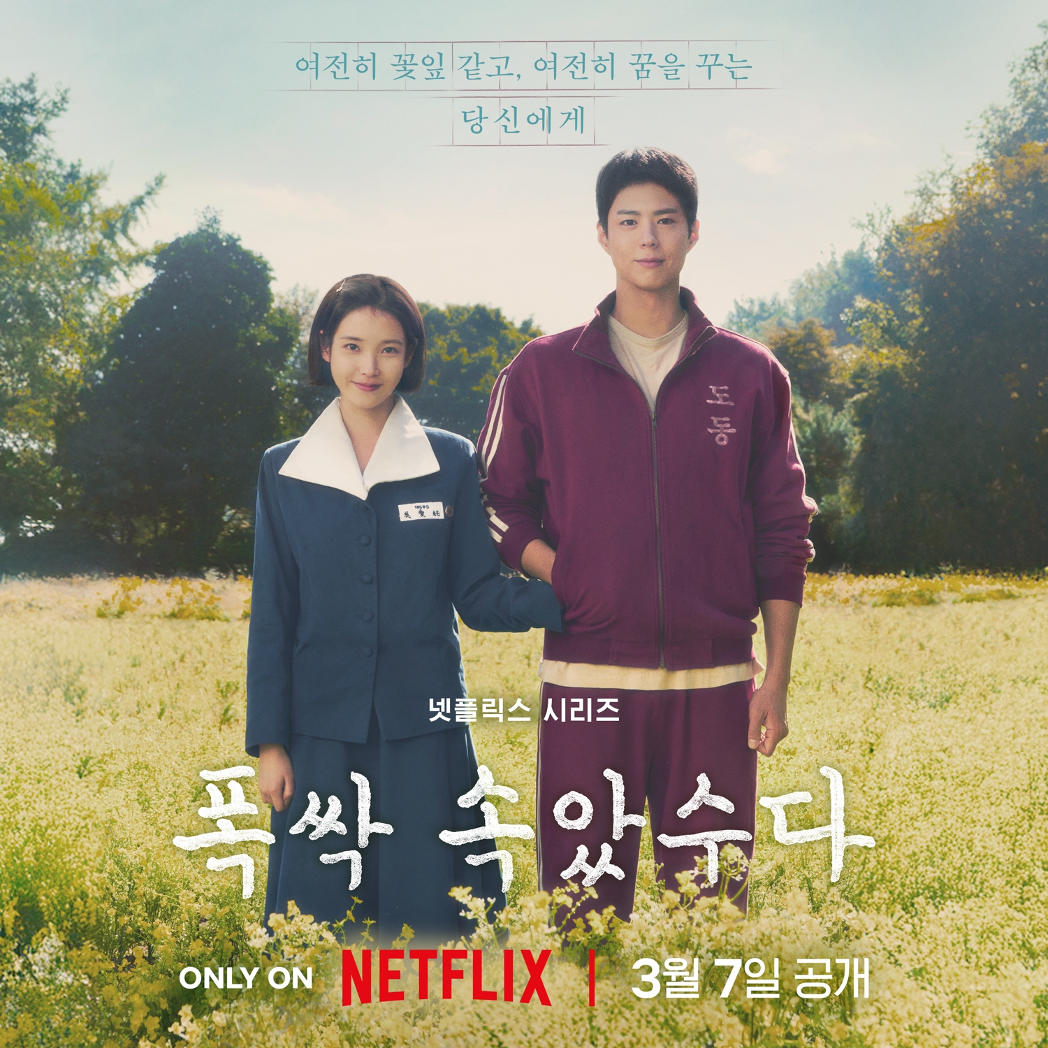iu-park-bo-gum-when-life-gives-you-tangerines