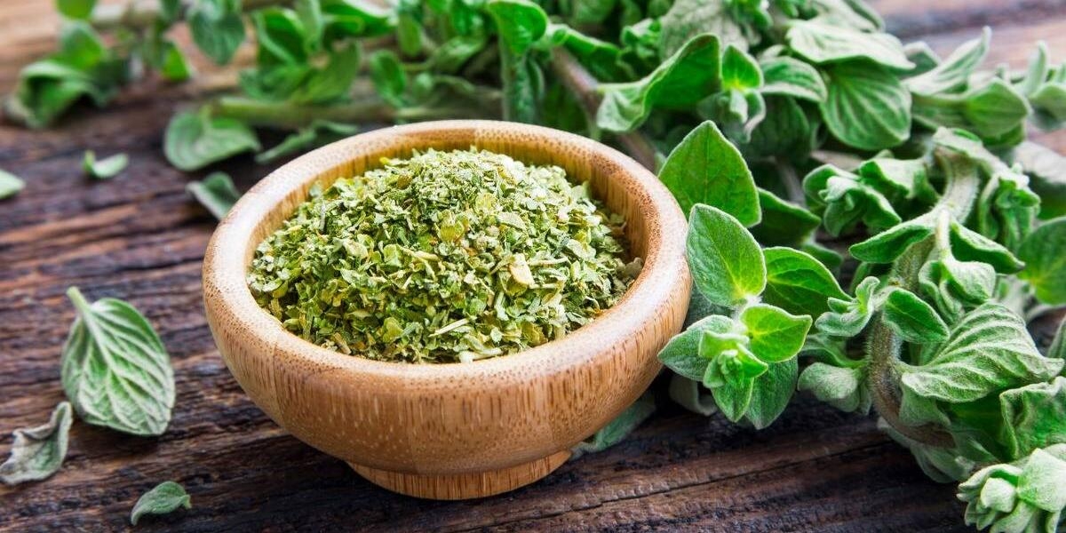 oregano 3