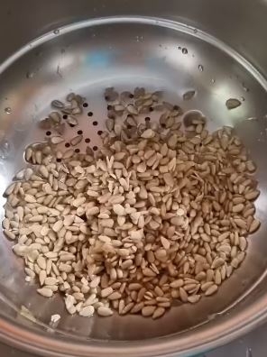 salsa222