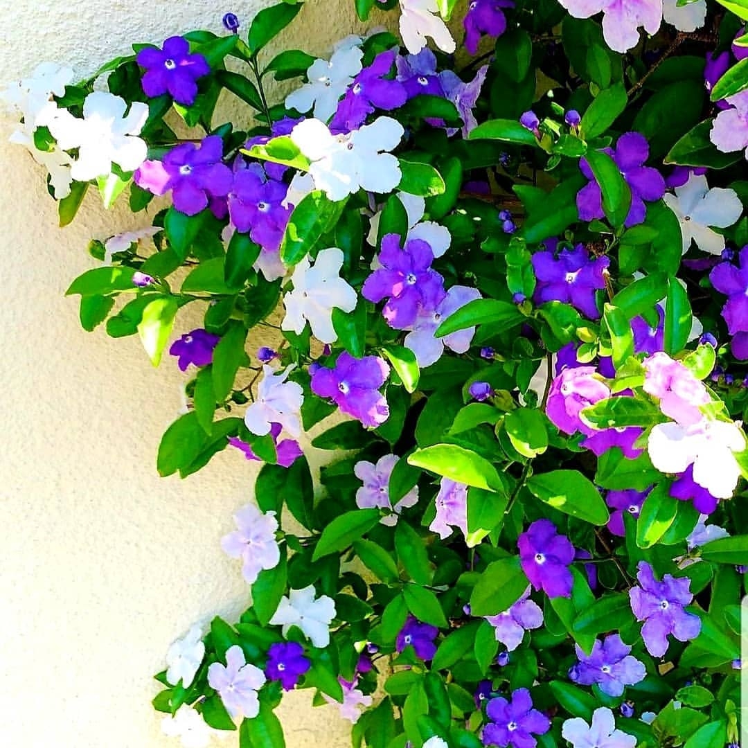 Snapinsta.app_246305208_1194713064387369_8475479229499976903_n_1080