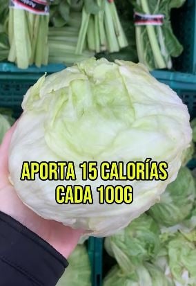 lechuga7