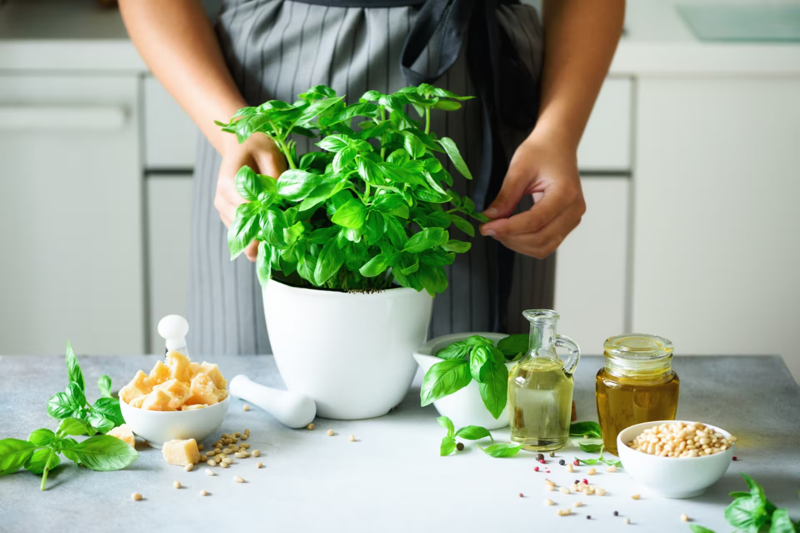 albahaca