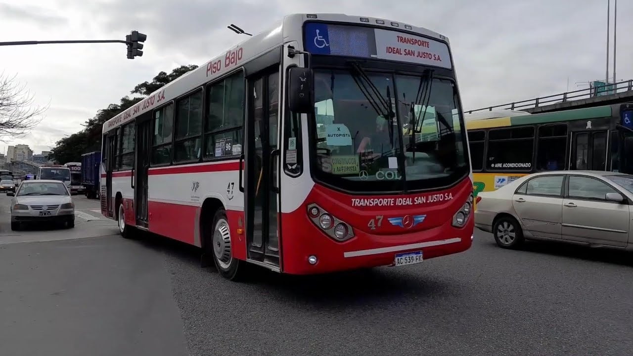 colectivos