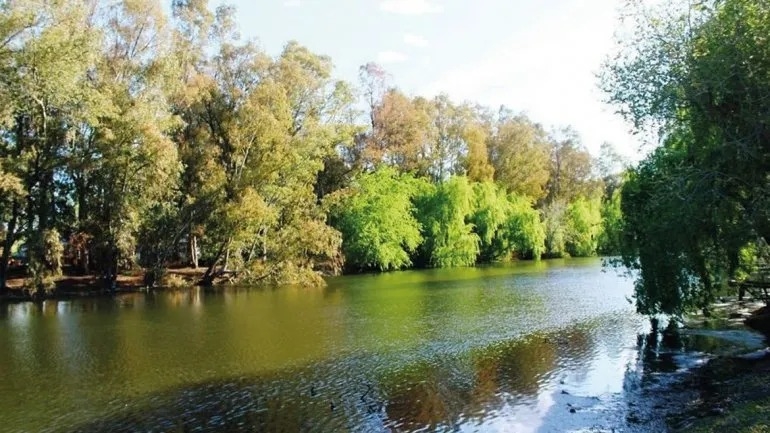 image (2)