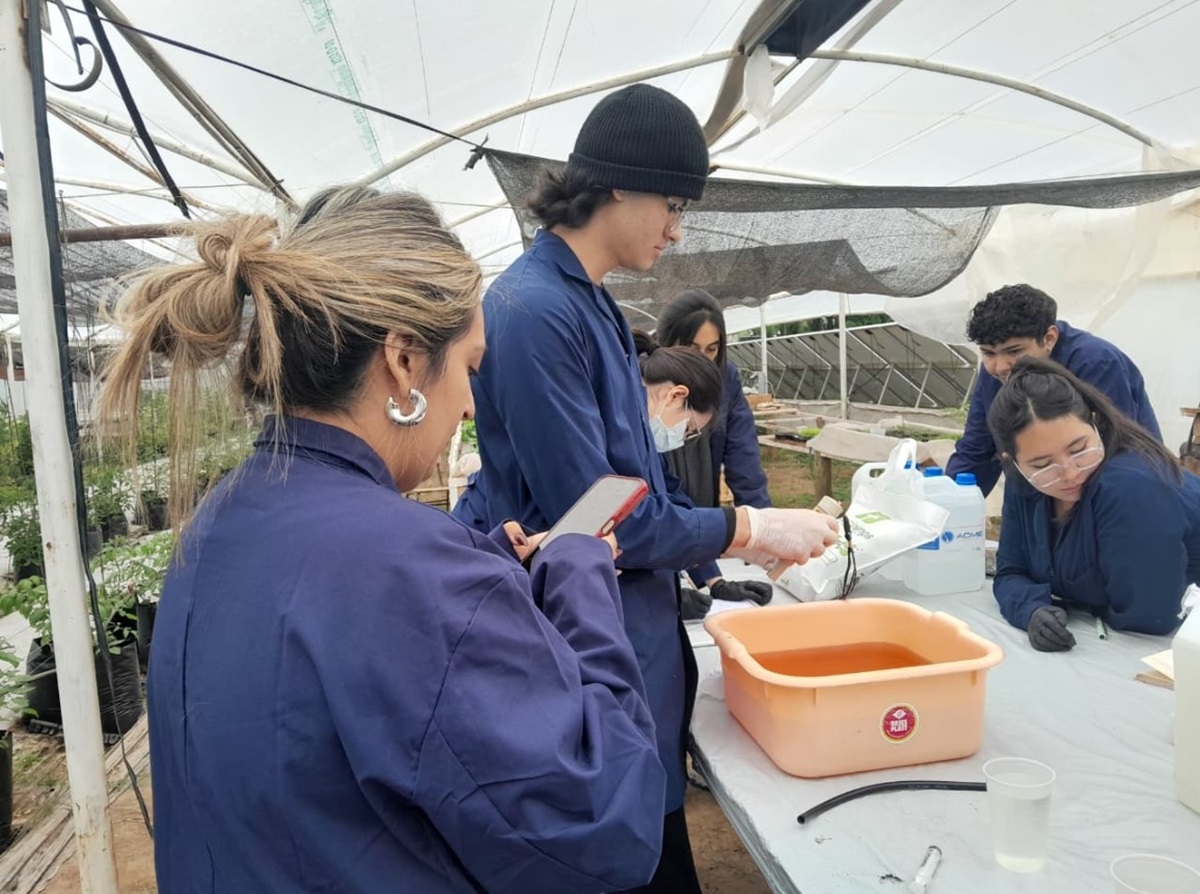 hidroponia CFPA N° 13