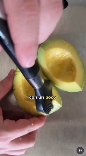 Paltas 3