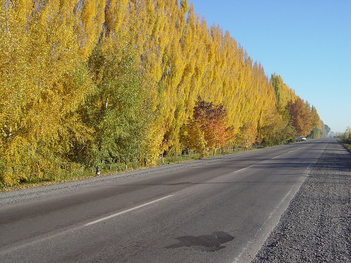 Chacra_kleppe_3_-_panoramio