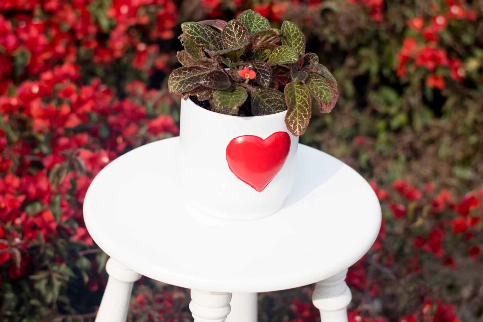 aaa