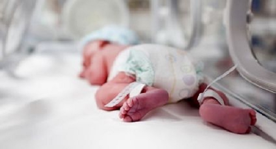nene en neonatologia