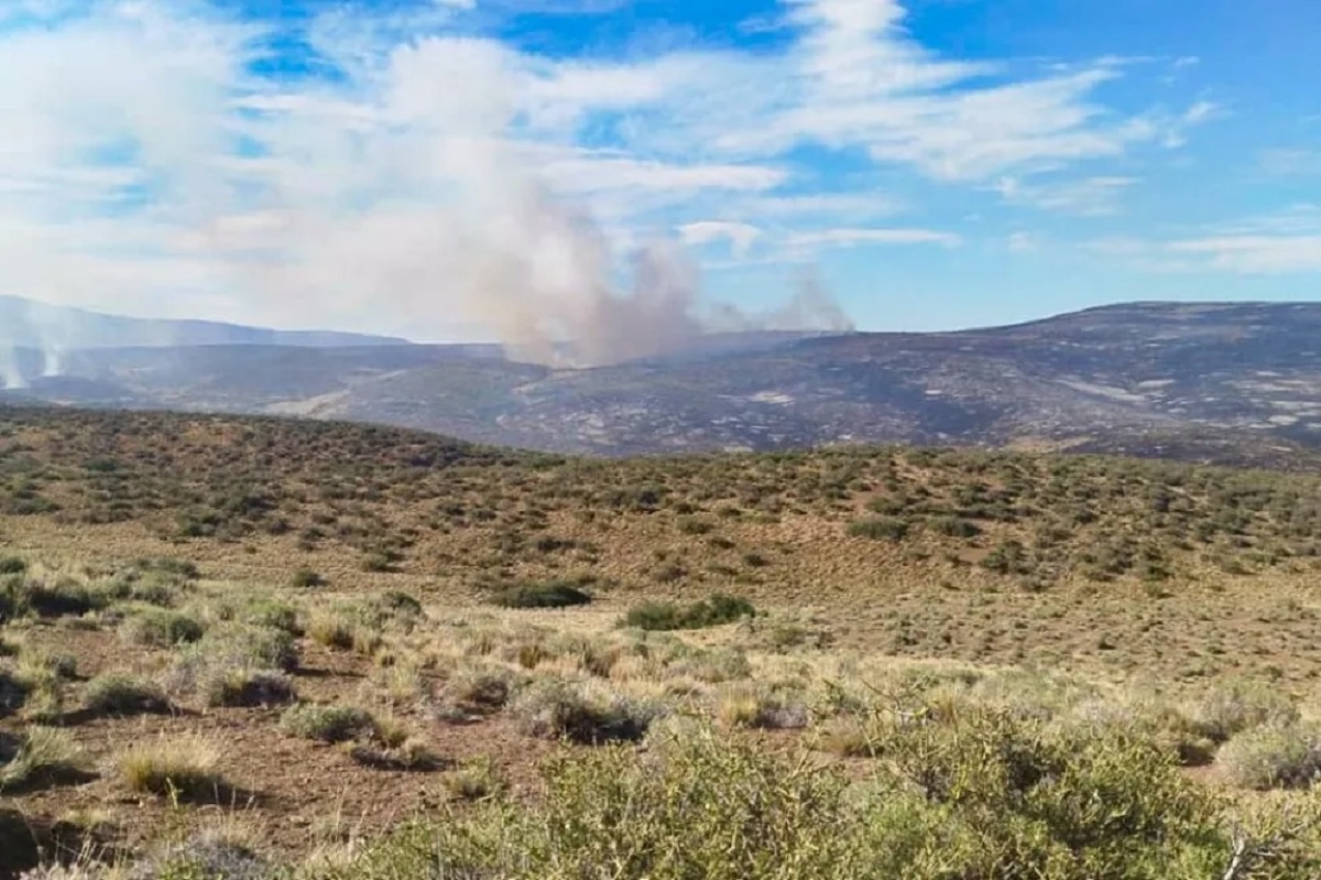 incendios neuquen