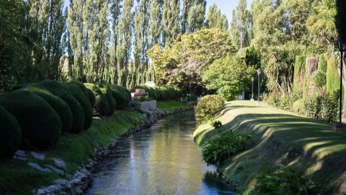 image (4)