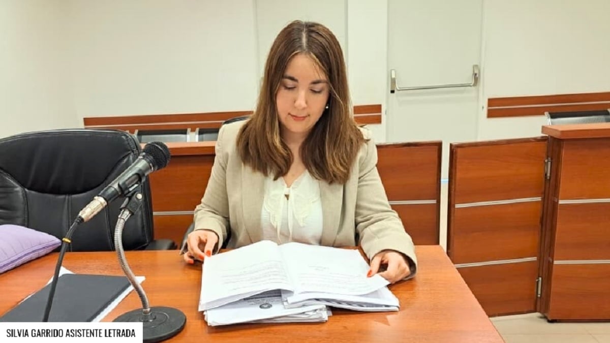 silvia garrido asistente fiscal 1