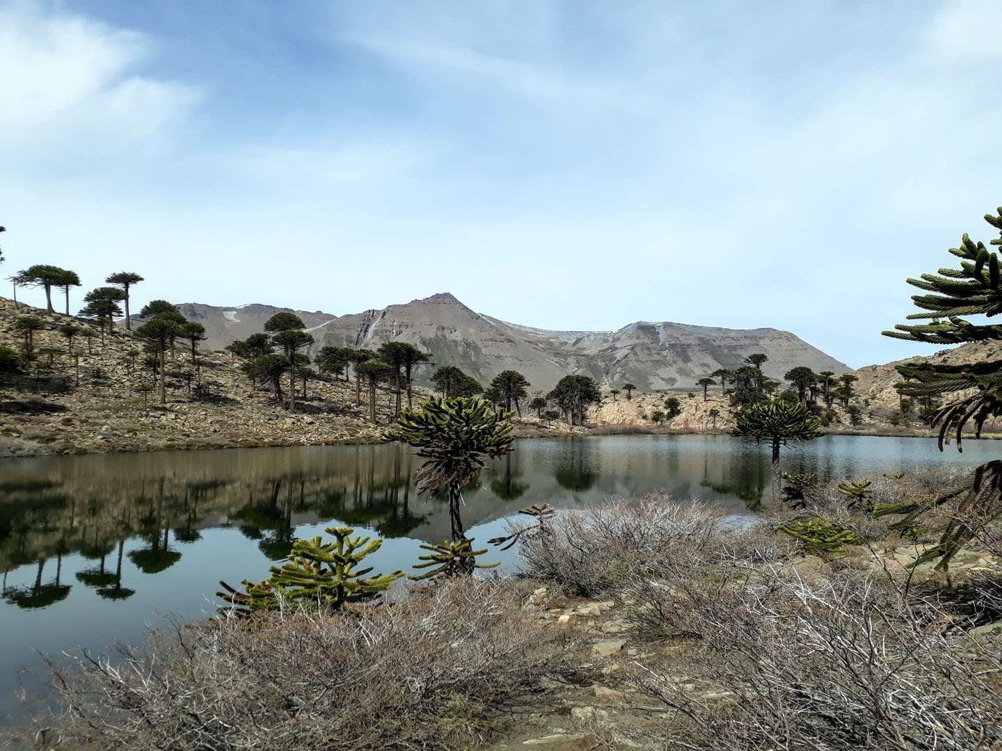 Neuquén