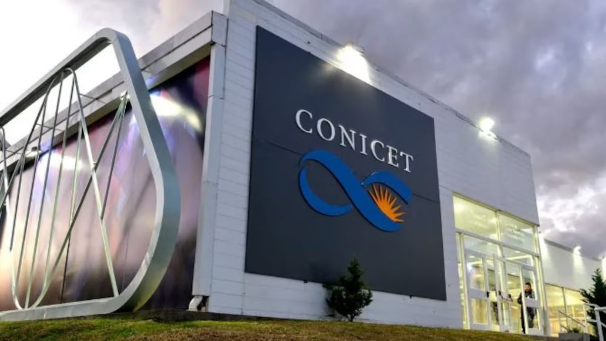 Conicet