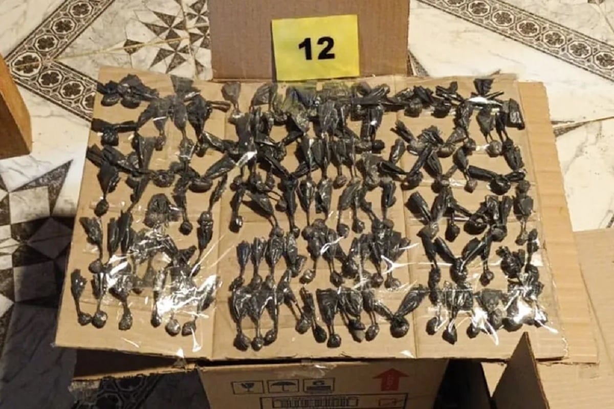 kiosco narco en nehuen che 2