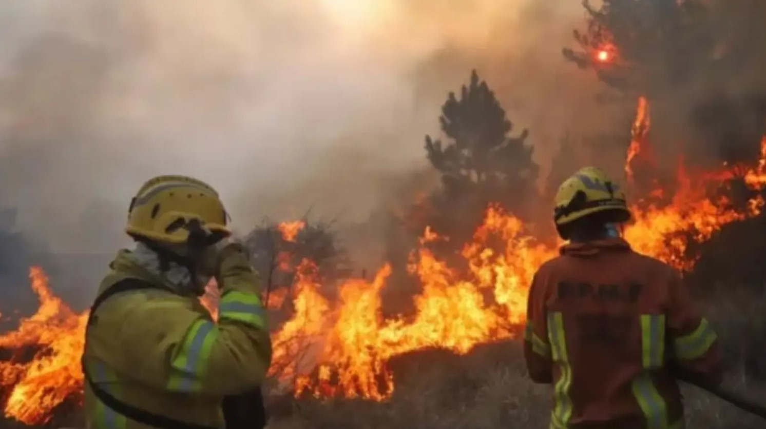 incendios mejor informado