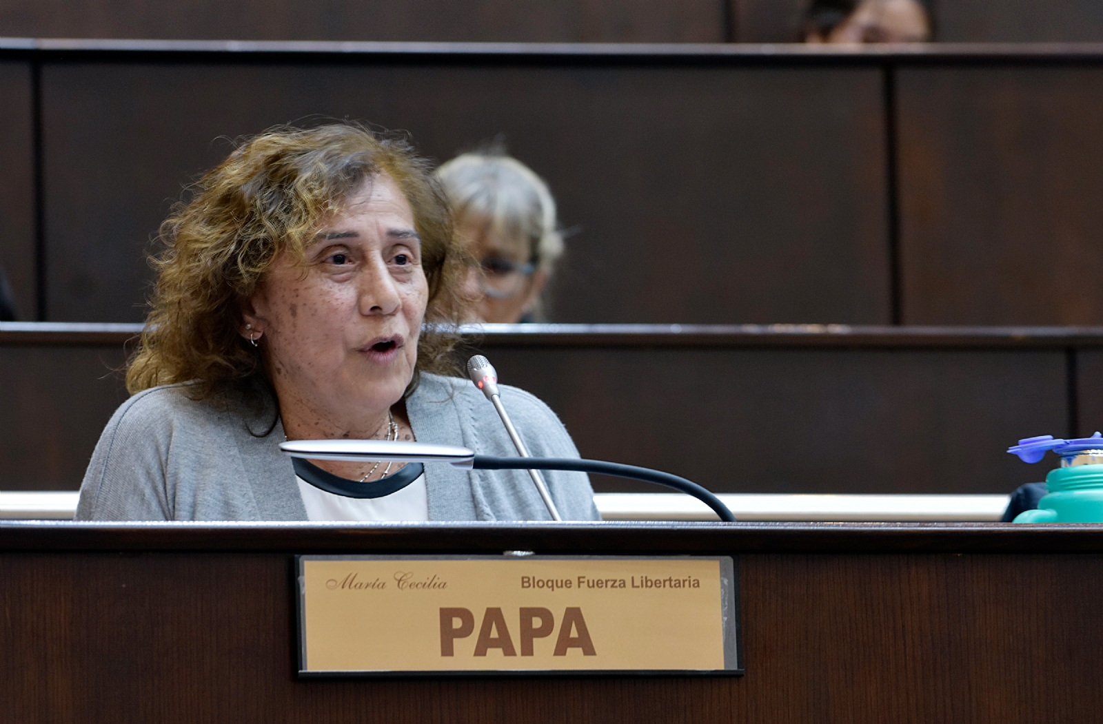 Maria Cecilia Papa. Fuente (Legislatura)