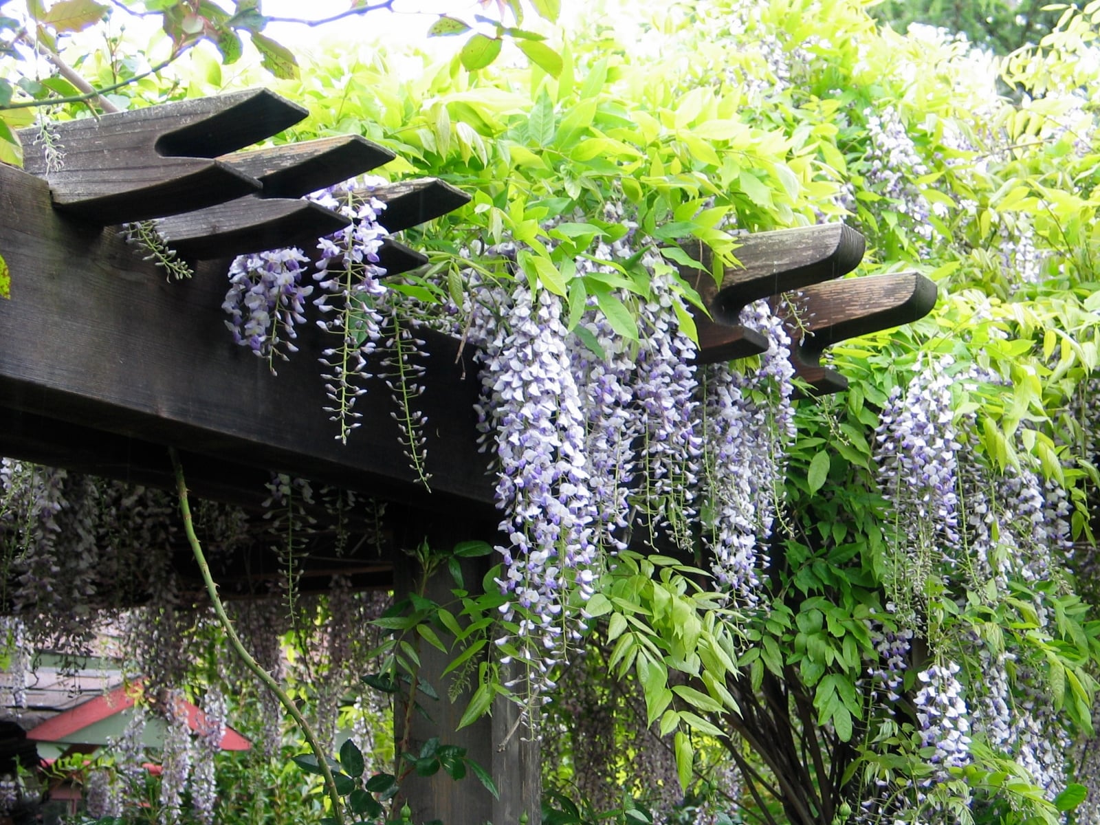 garden-architecture-robert-trachtenberg-garden-architecture-img~10313af40f458569_14-0469-1-2697785