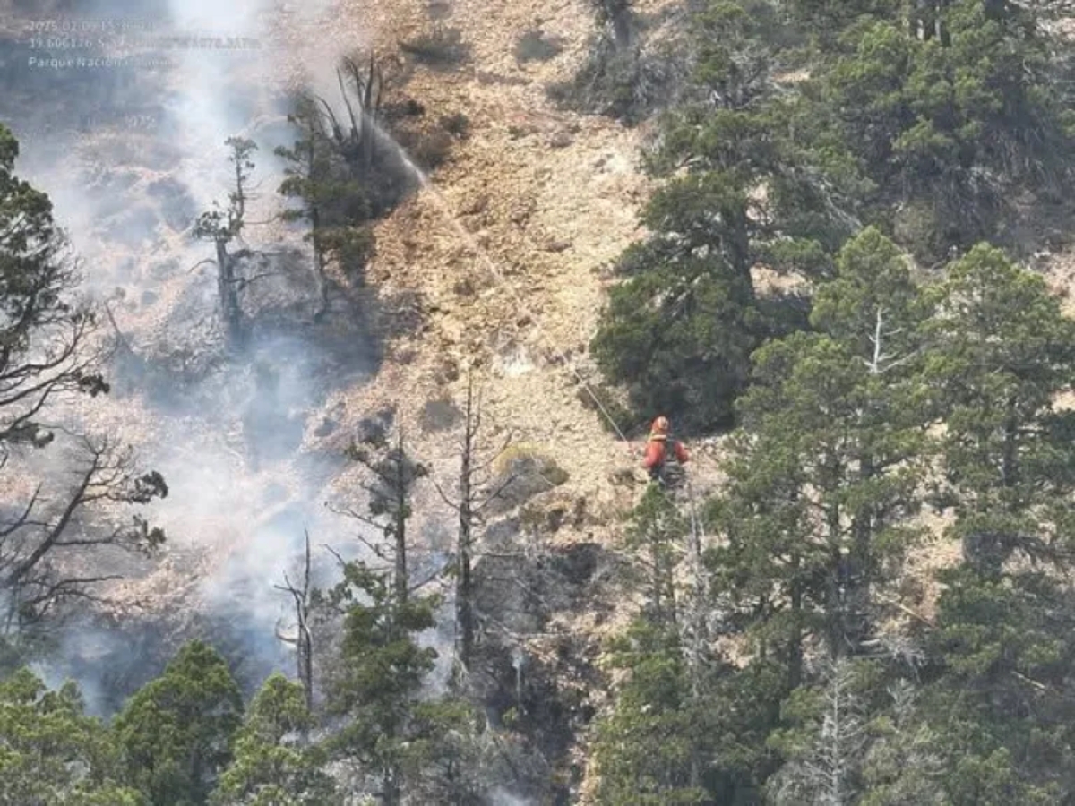 incendio valle magdalena 4