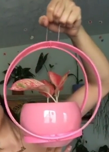 portamacetas1